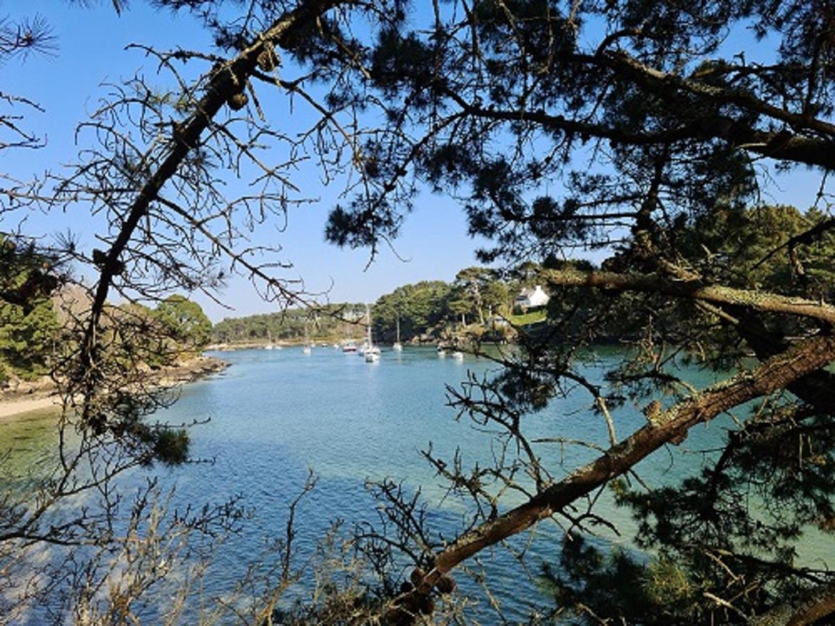 Studio Les Trois Etoiles De Mer Concarneau Εξωτερικό φωτογραφία